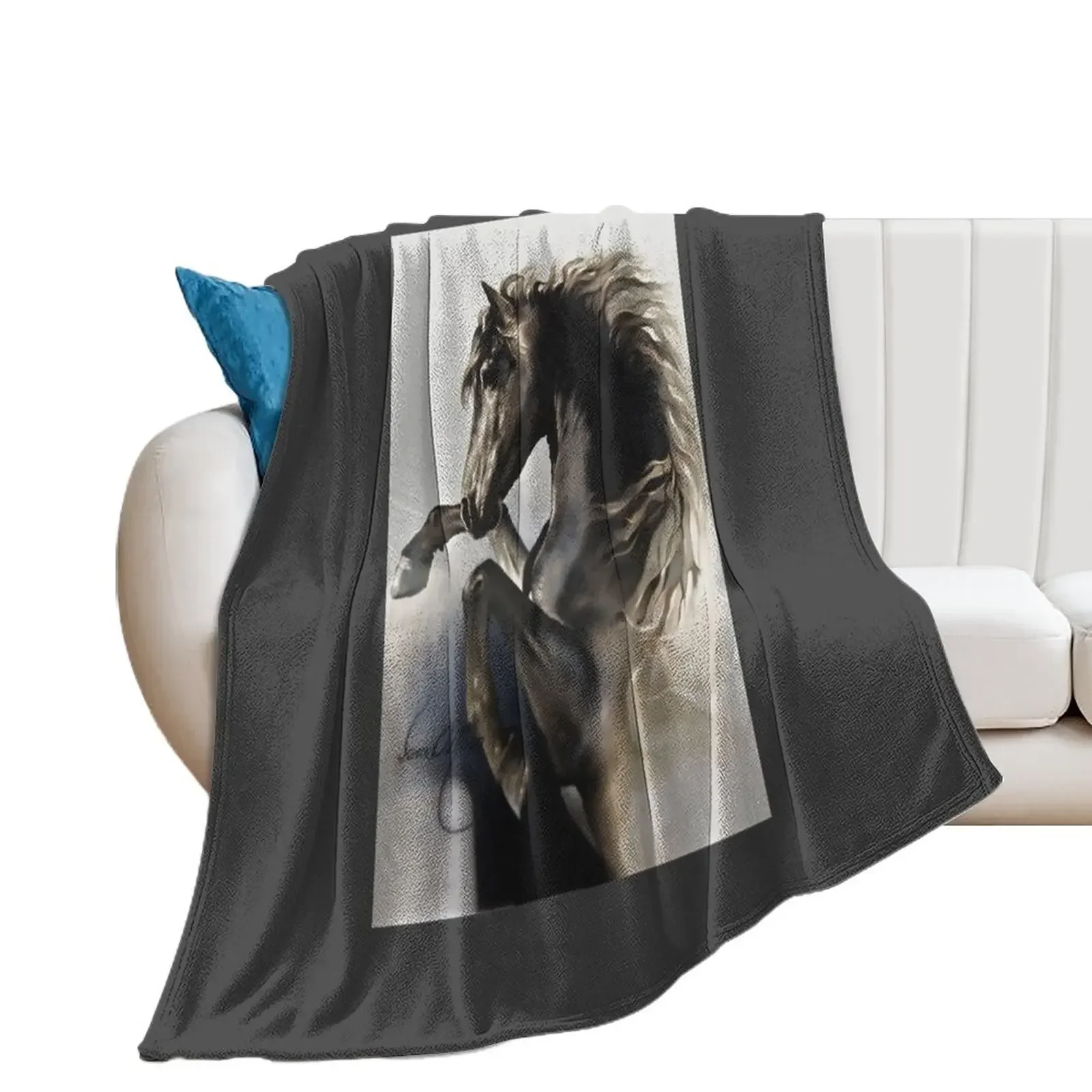 

Black Fury Throw Blanket Thins Luxury Thicken Blankets