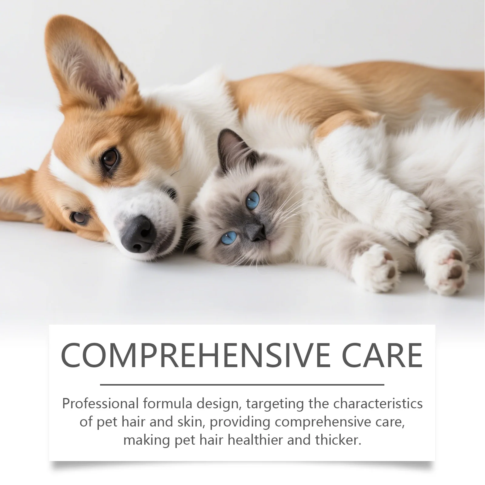 Picture 5: Pet Hair Care Solution - 60ml Anti-Matting, Gentle Detangling & Smoothing, Promote Hair Strength, Pet Coat Maintenance