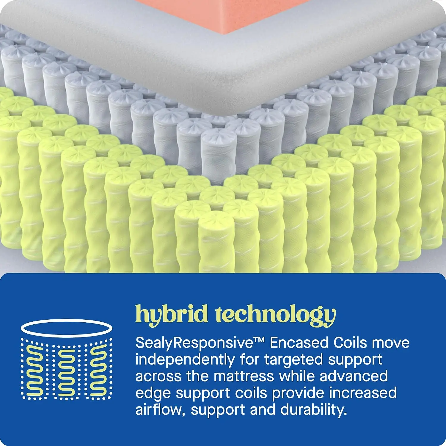 Dreamlife 14” Hybrid Mattress-in-a-Box, Queen, Comfort Gel Memory Foam, Responsive Encased Coils