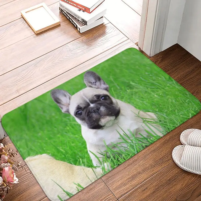 Personalized Cute Pet French Bulldog Doormat Mat Anti-Slip Frenchie Dog Lover Kitchen Bathroom Bedroom Rug Carpet 40*60cm