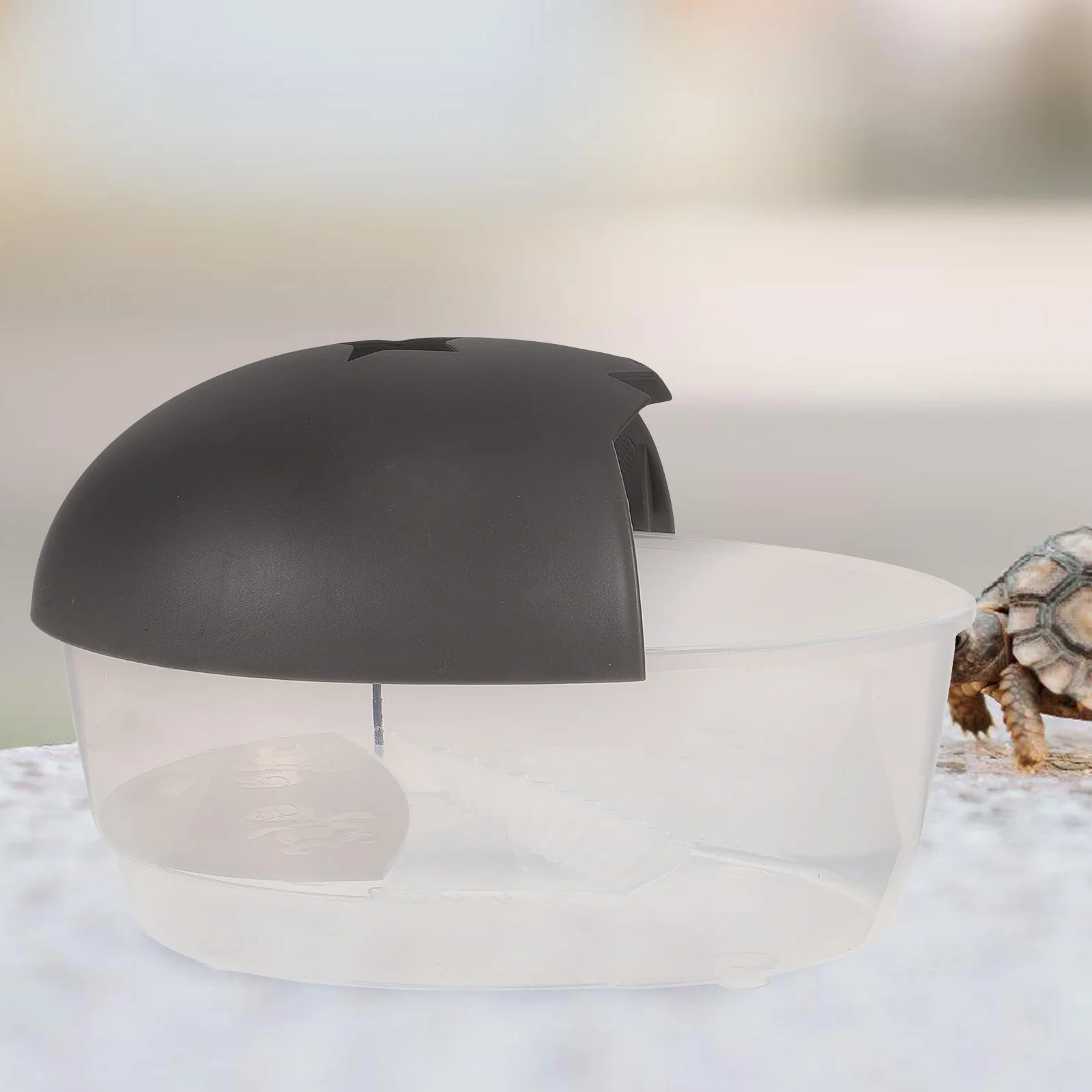 

Household Turtle Tank Large Deep Design Basking Platform Multi-Function Turtle Habitat Rest Sunning Feeding Hibernation Reptile