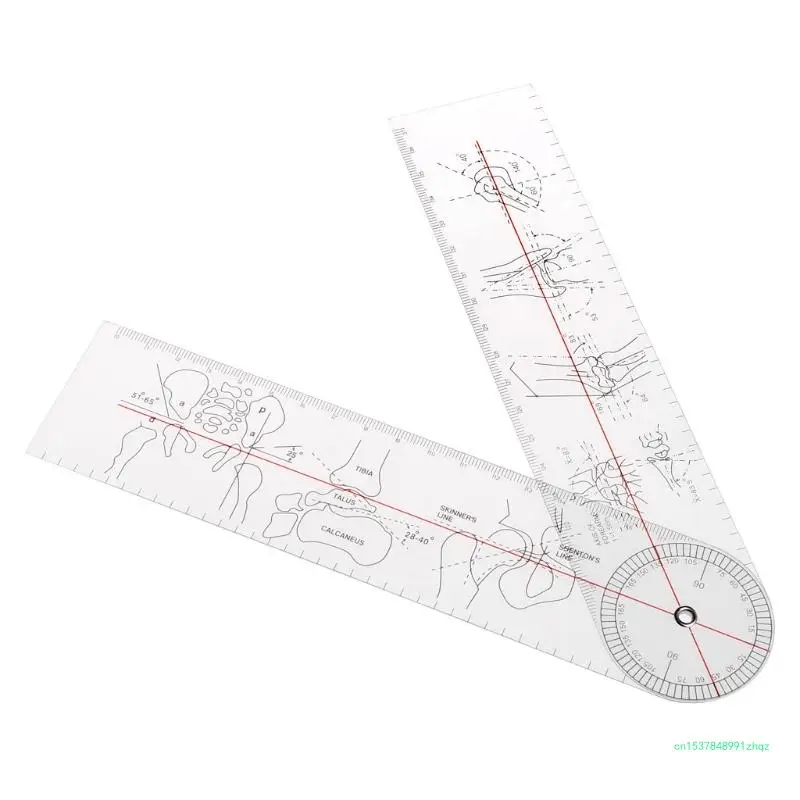 Professional Portable Orthopedic Medical Measuring Ruler