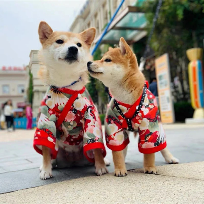 Wiosenne letnie ubrania dla kota pies styl japoński odzież dla zwierząt Kimono dla małych średnich psów Shiba Inu Corgi przebranie szczeniaka strój