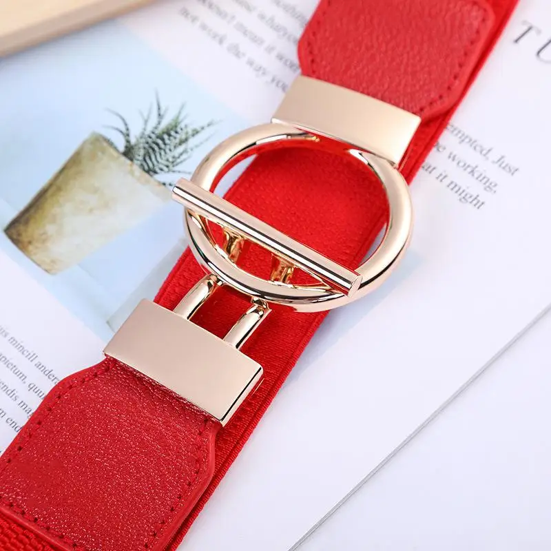 Women Skinny Elastic Belt for Dresses,Thin Retro Stretch Waist Belt with Golden Buckle