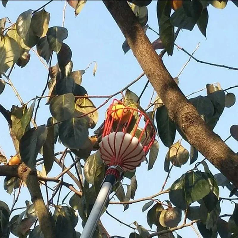 Obstpflücker, Käfigform, Obstkopf, Pflücken, Loquat, Birne, Obstwerkzeuge, abnehmbarer Obstpflücker für Bauernhof, Obstgarten, Gärten, Werkzeug – Detail 5
