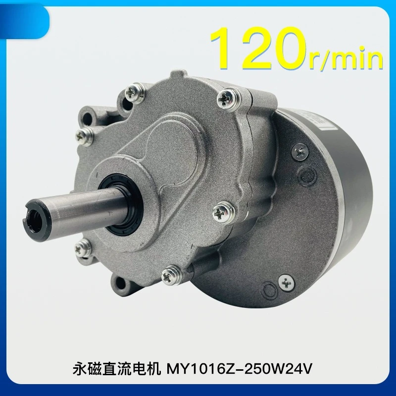 

250W 24V Electric Wheelchair With Electromagnetic Brake 75RPM 120RPM MY1016Z Electric Deceleration Brushed Low-speed Motor