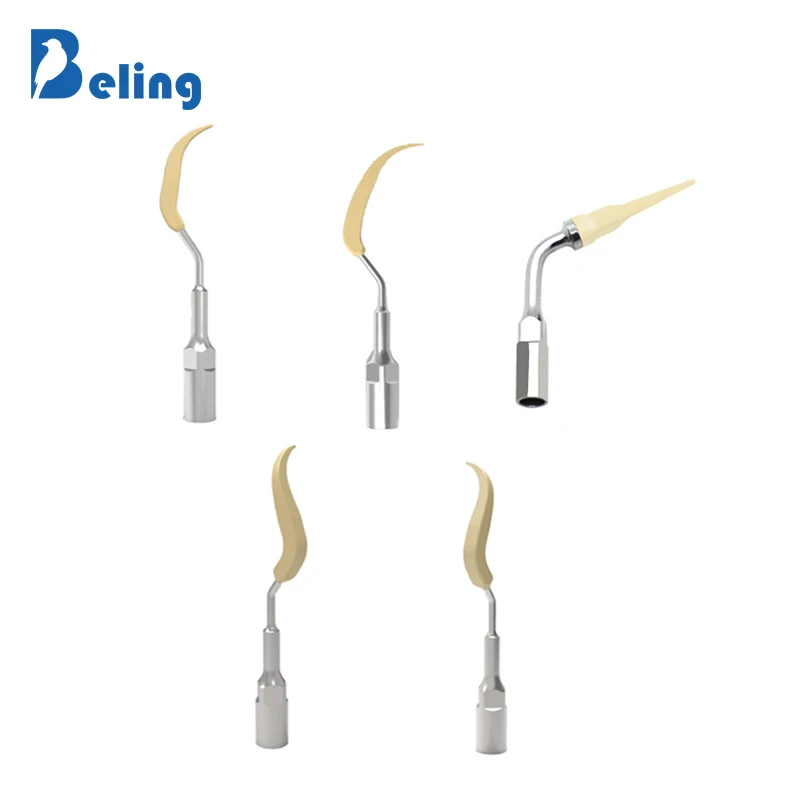 Beling Dental High Polymer Material Ultrasonic Dental Scaler Tip For Cleaning Implant Ceramic Orthodontic Teeth Dentures Tips