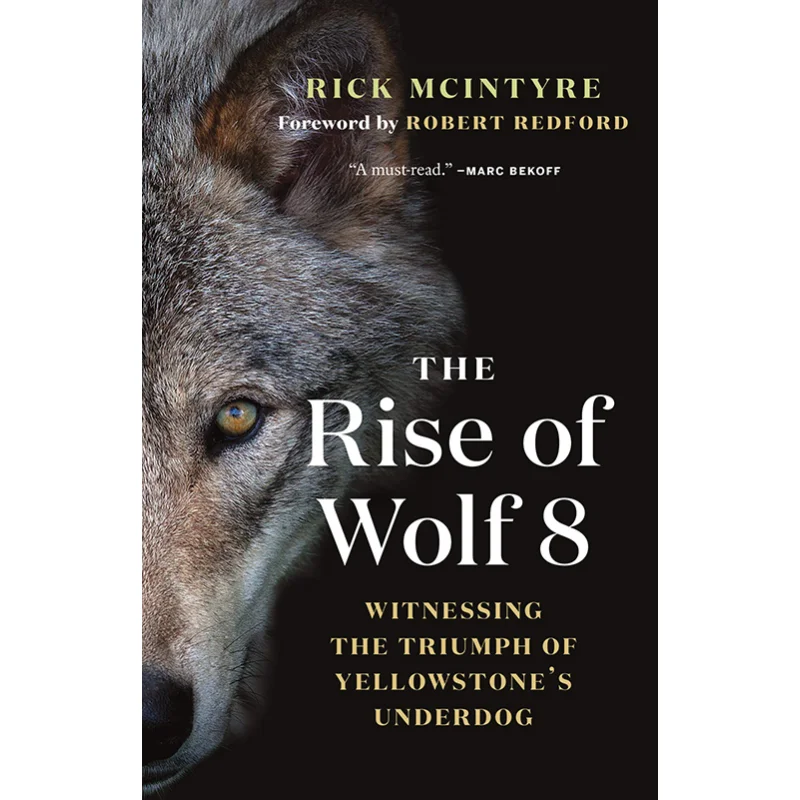 

Восхождение волка 8 «Священие триумфа желтых камней» Underdog Rick McIntyre Grove Press 9781771647809 Книга