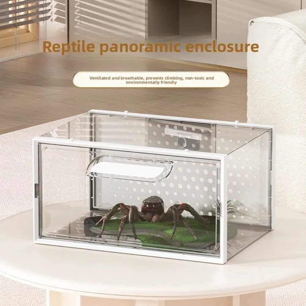 

New Transparent Lizard Kennel Ventilated Multi-size Spider Breeding Box Easy Clean PP and PET Reptile Habitat Pet Supplies