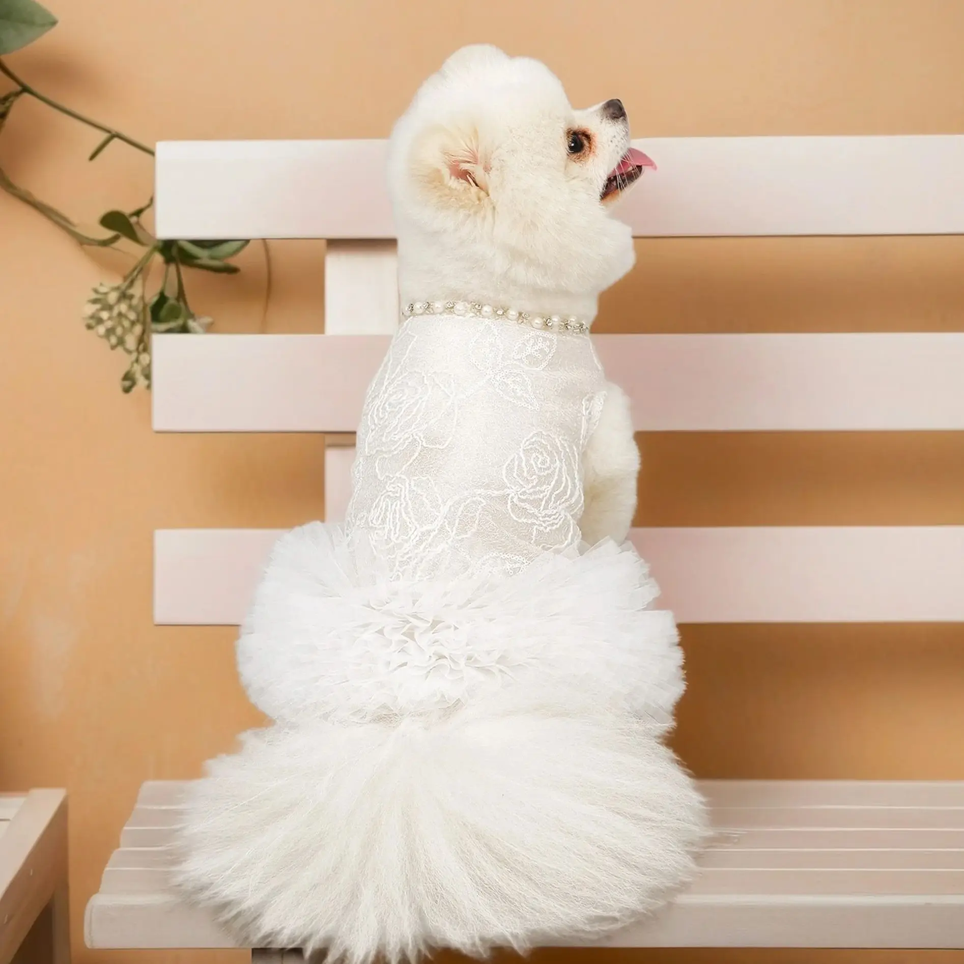 White Dog Dress Puppy Luxury Lace & Pearl Skirt Dog Clothes Princess Dresses Wedding Classic Dress Tutu Skirt for Small Dogs Cat - AliExpress 15 White Dog Dress Puppy Luxury Lace & Pearl Skirt Dog Clothes Princess Dresses Wedding Classic Dress Tutu Skirt for Small Dogs Cat - AliExpress 15
