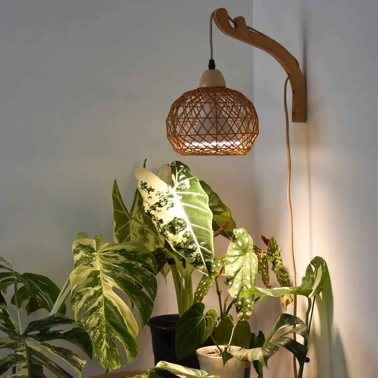 

Hanging Grow Light for Indoor Plants, 18W Full Spectrum, Rattan Shade, Wall-Mounted with 9.8ft Cord
