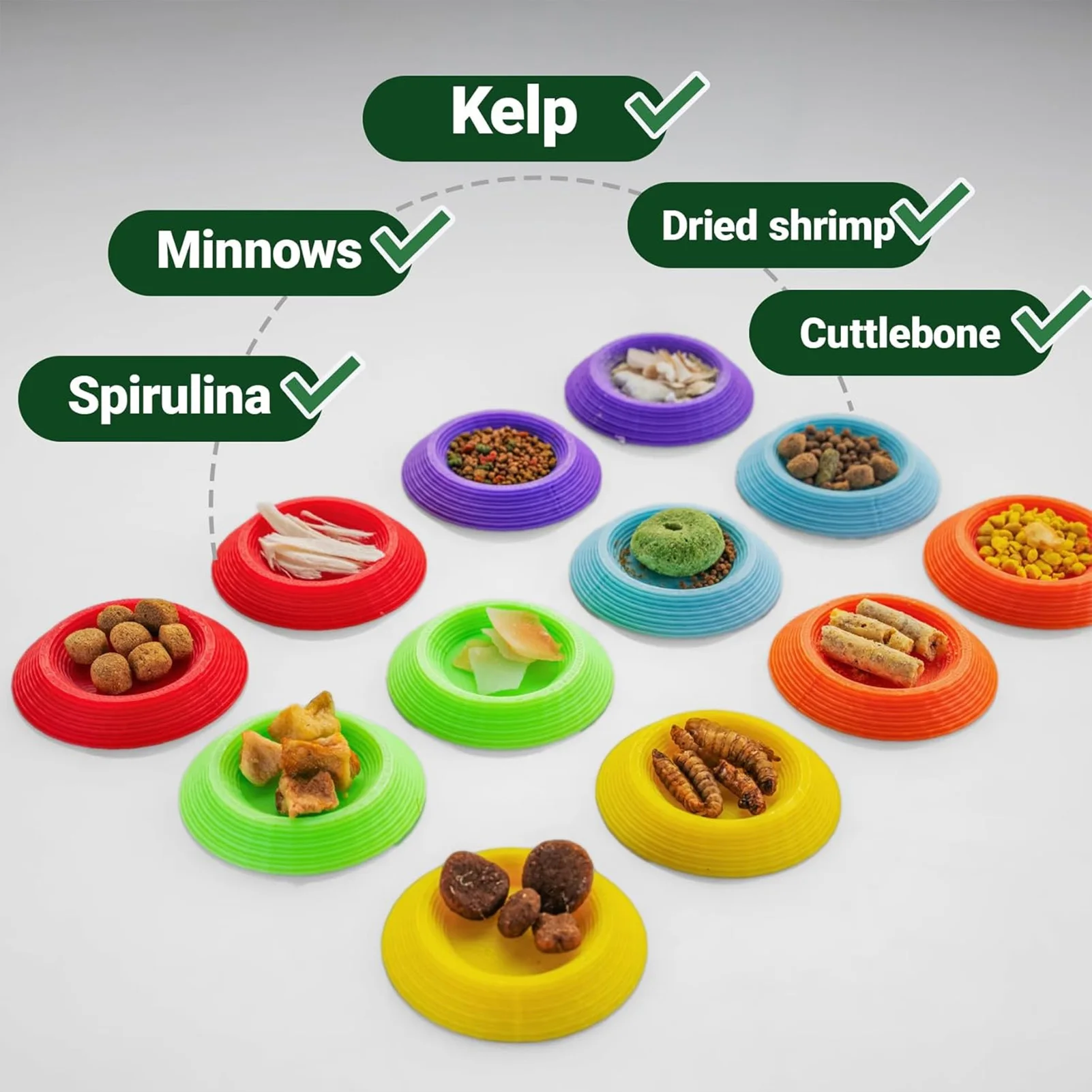 12 Platos de Comida para Cucarachas Dubia, Mini Platos de Alimentación con Diseño Antiescalada para Isópodos y Pequeños Invertebrados