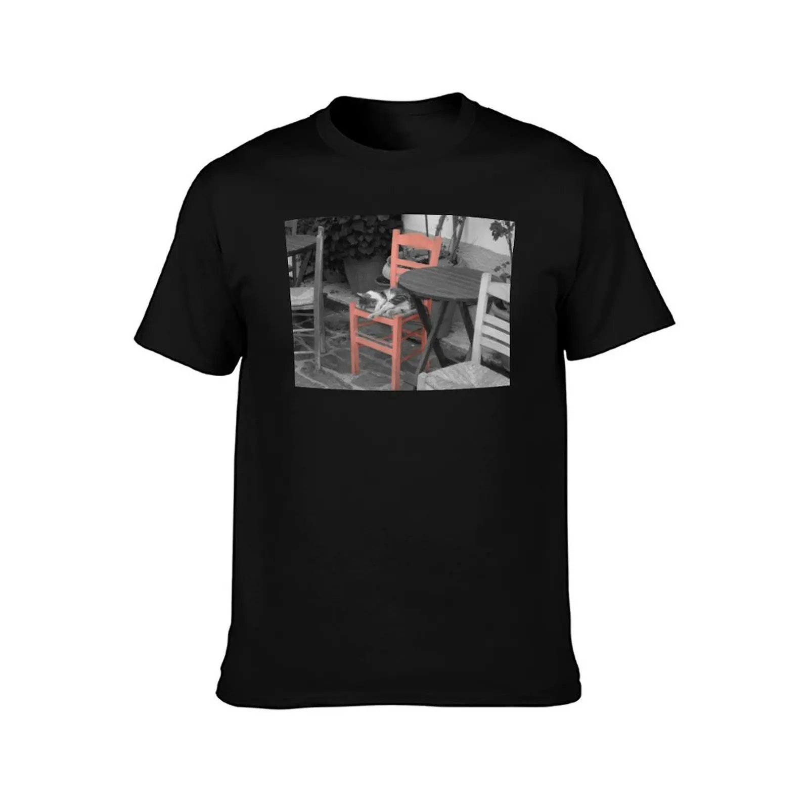 Cat Napping on Chair Ikaria Island Greece T-Shirt Basic Tee Shirt for Everyday Outfit T-Shirt