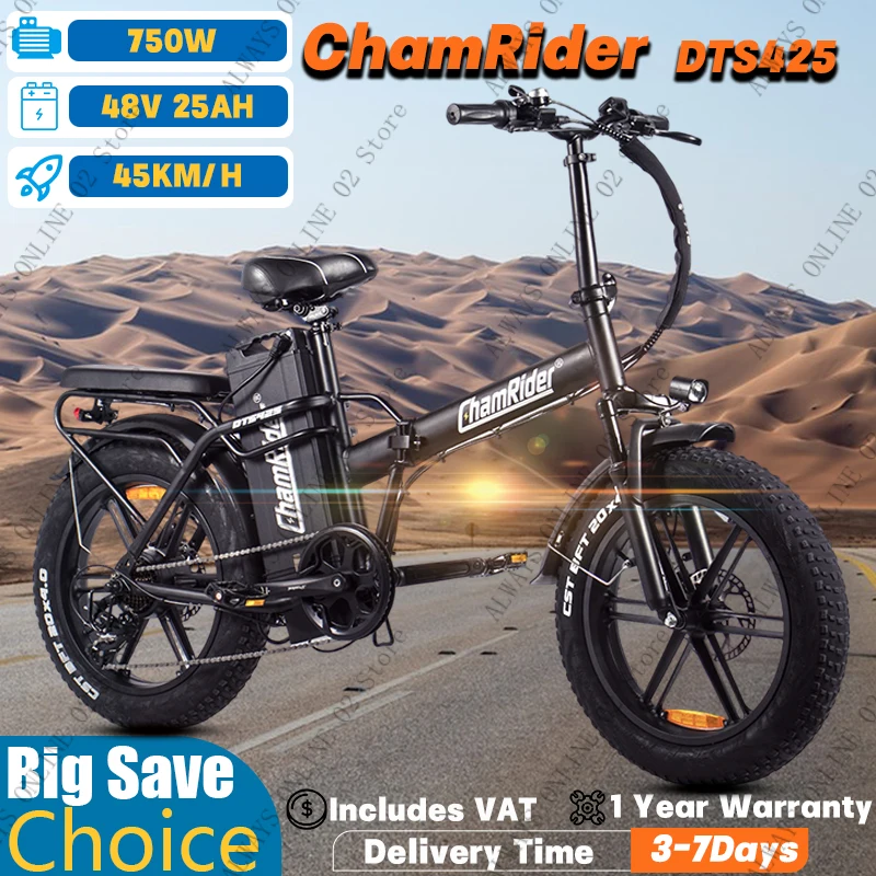 Vélo électrique ChamRider DTS425 avec batterie 48V25AH, autonomie de 125 km, moteur de 750W, meilleur choix pour les livreurs de nourriture européens
