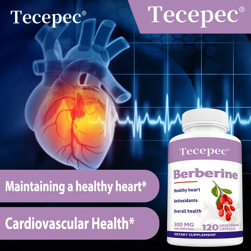 

Berberine Supplement Capsules 500 Mg - Cardiovascular and Digestive Health, Immune System Support, Antioxidant