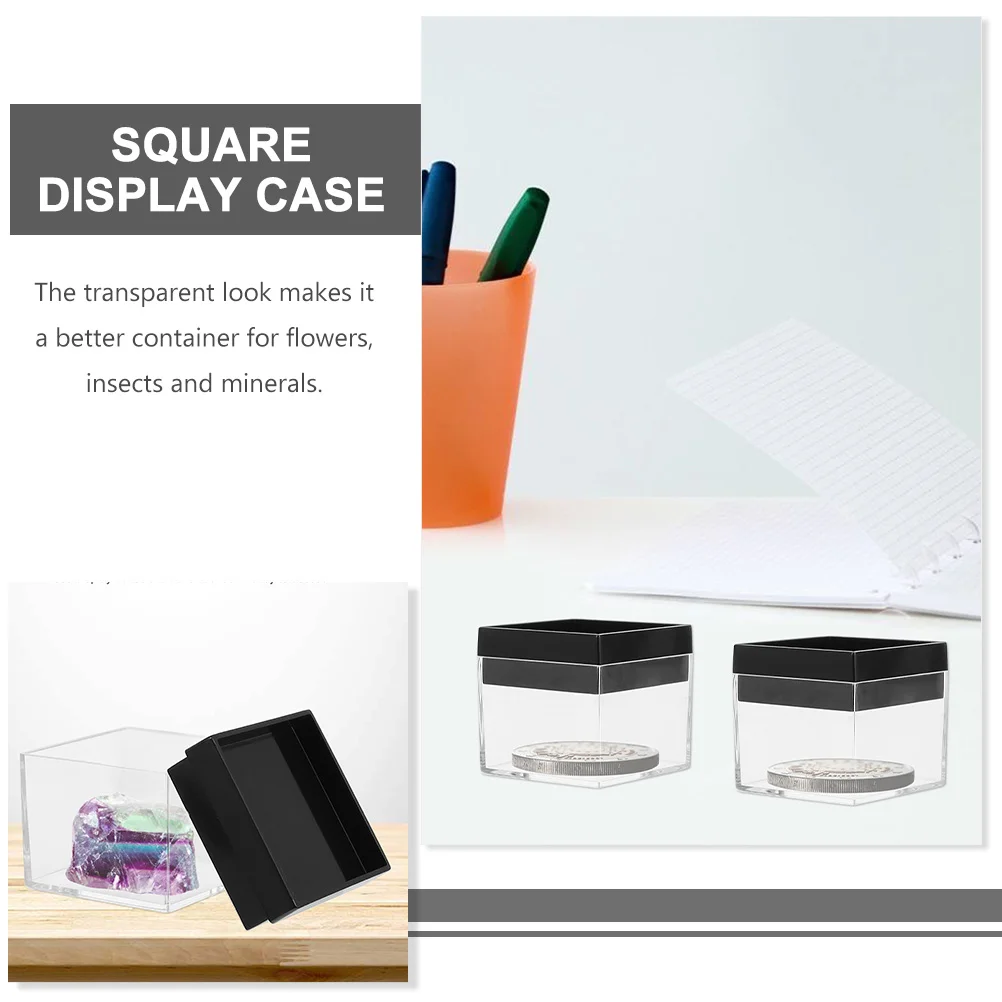 6 Pcs Mini Storage Box Display Cabinet Collapsible Plastic Square Specimen Case