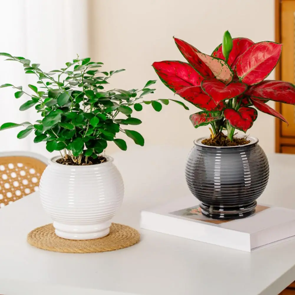 

Water Absorbing Flowerpot Small Plastic Flower Plant Pot with Rope And Reservoir for African Spider Plant Orchid