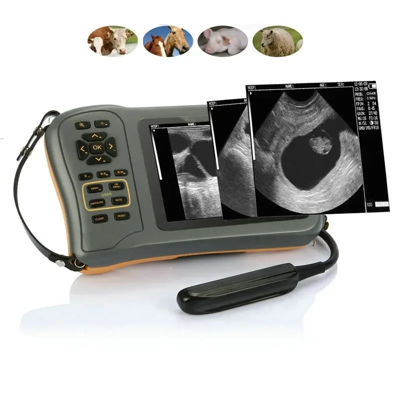 High quality image farm animals equine ultrasound scanner farmscan l60 for bovine scanning with rectal linear probe scanner