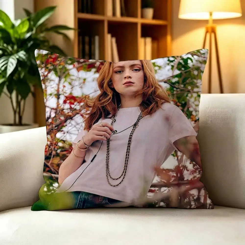 S-Sadie Max S-Sink  Square Double-Sided Printed Pillow Case Sofa Cushion Cover Bedroom Bedside Decor