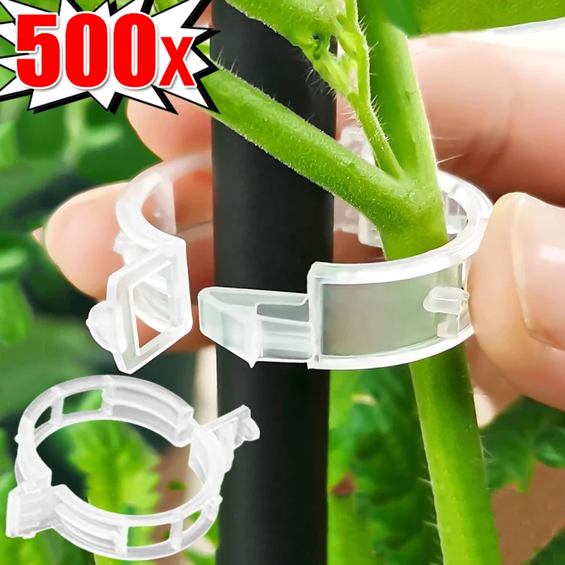 Reutilizável Plastic Plant Support Clips, Proteção de Videira, Enxertando Ferramenta de Fixação para Tomate Vegetal, Jardim, Atacado