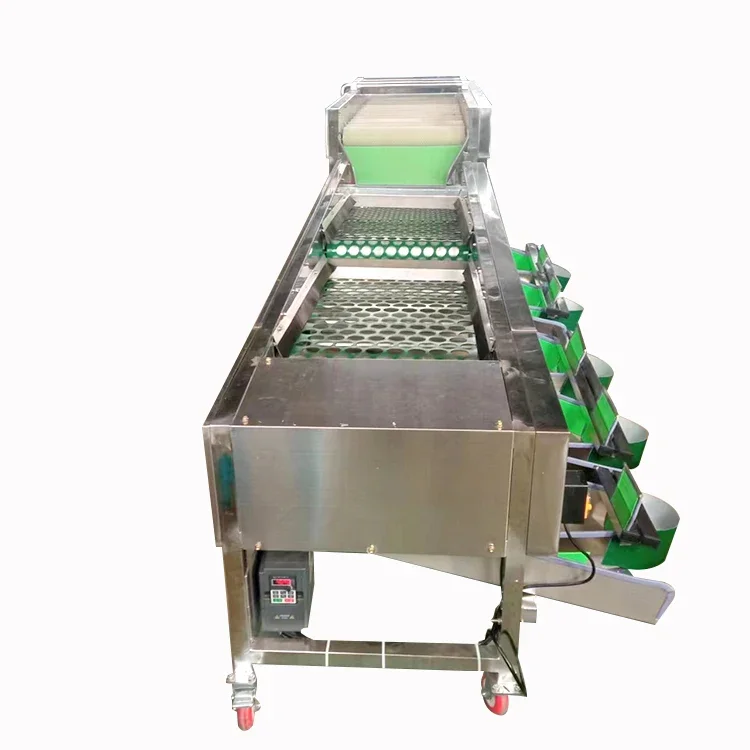 Automatic Onion Citrus Walnut Size Sorting Grading Machine