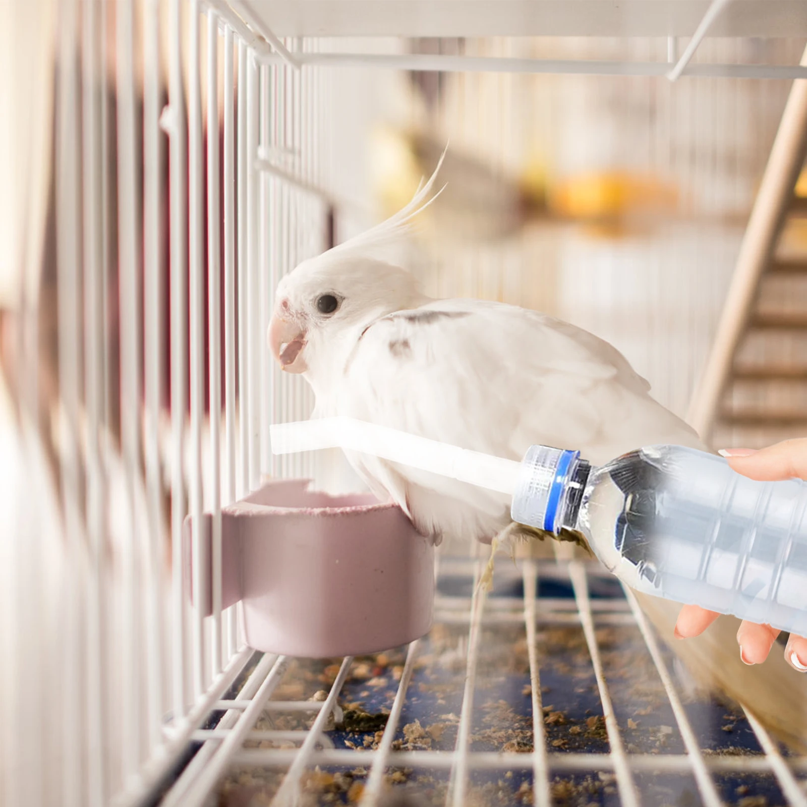

Parrot Waterer Tube Clear Replaceable Feeder Pipe Durable Bird Cage Accessories Easy Clean Long Lasting Pet Supply Household