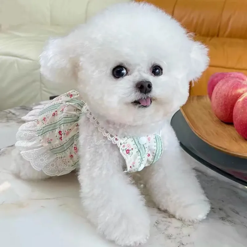 Fashion Pet Dog Clothes Summer New Striped Floral Lace Skirt Teddy Bear Cat Thin Puppy Clothing for Small Dogs Small Puppy Dress