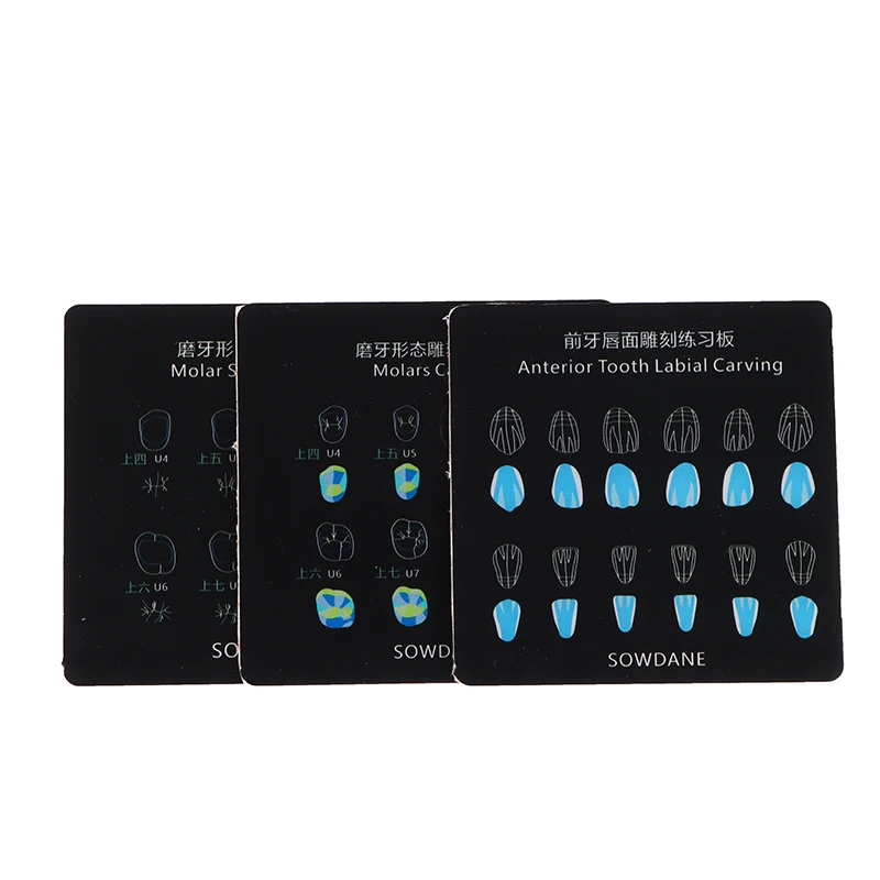 3 Größen Dental Composite Harz Füllung üben Vorlage Zähne Morphologie Board anatomische Modell Studie Board