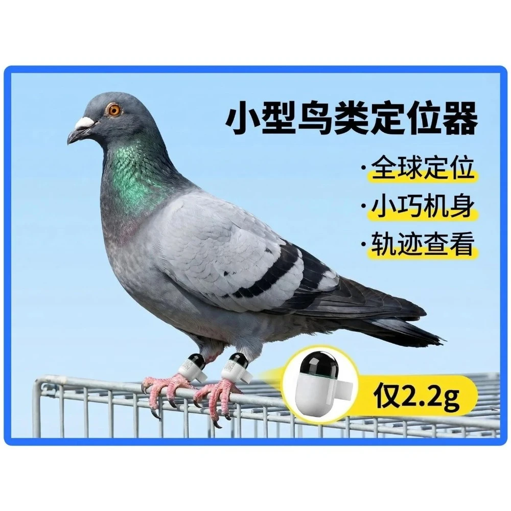 Miniature Bird Locator Parrot For Household Cockatiel Racing Pigeon Outdoor Flying Training Accessories