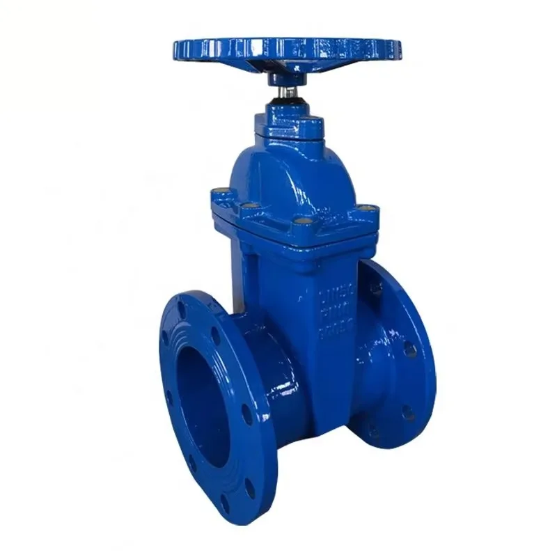 밸브 밸브 GGG50 DI DIN3352 BS5163 DN 150mm 게이트 밸브