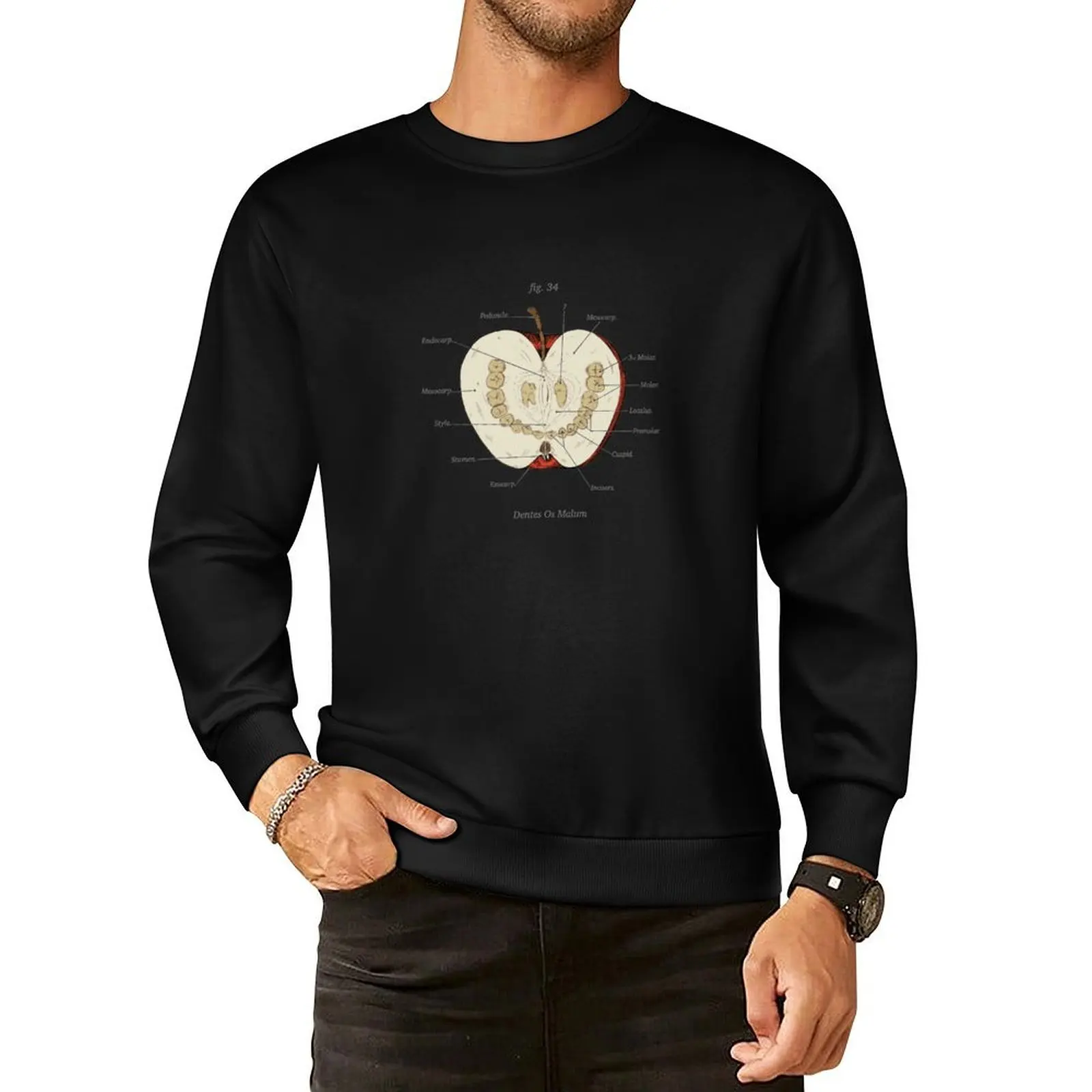 

The Magnus Archives - Anatomy Class - Teeth Apple Pullover Hoodie tracksuit men clothing men sweatshirt