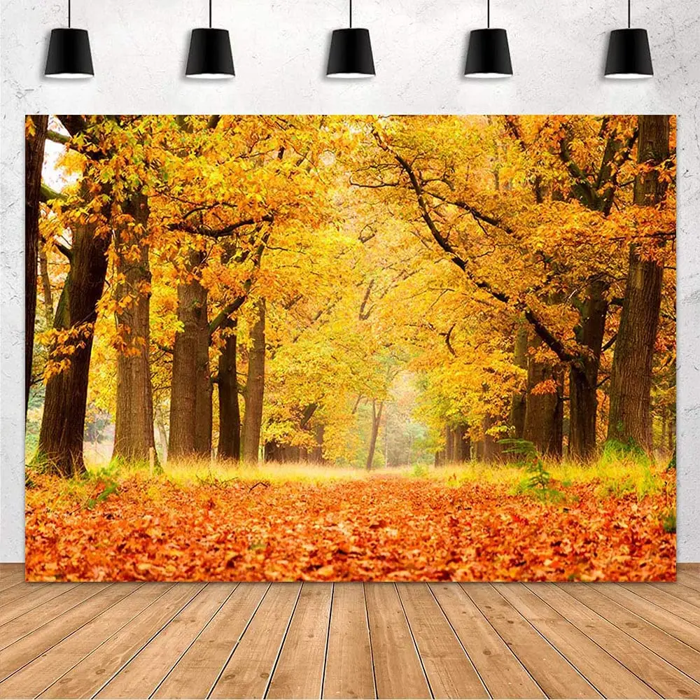 Fall Forest Photo Photography Backdrop Autumn Natural Scenery Landscape Maple Leaves Background for Portrait Decoration Poster