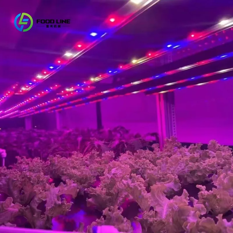Customized Smart Control 40/20FT Container Farm Grow Room Plant Factory Mushroom Greenhouse Automatic Plant Container