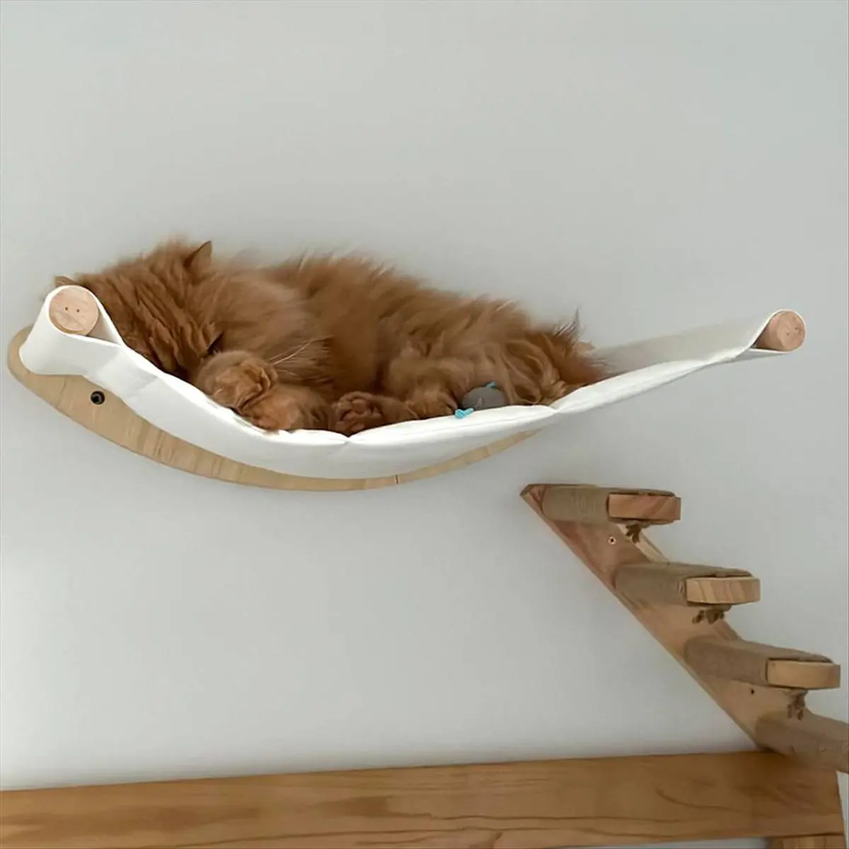 【flash-deal-】cat-wall-frame-indoor-cat-bed-wooden-climbing-frame