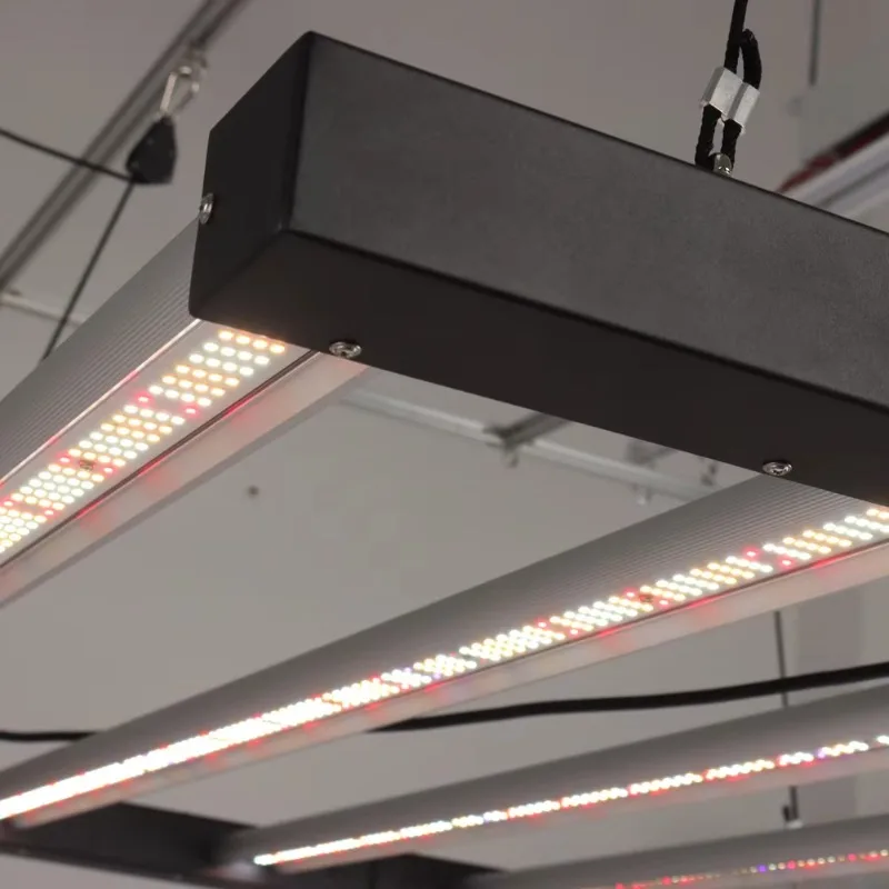 جديد صديقة للبيئة قابلة للطي 4X4 عمودي الزراعة داخلي تجاري 720 واط 1000 واط Led نمو النبات ضوء بار الطيف الكامل Uv Ir