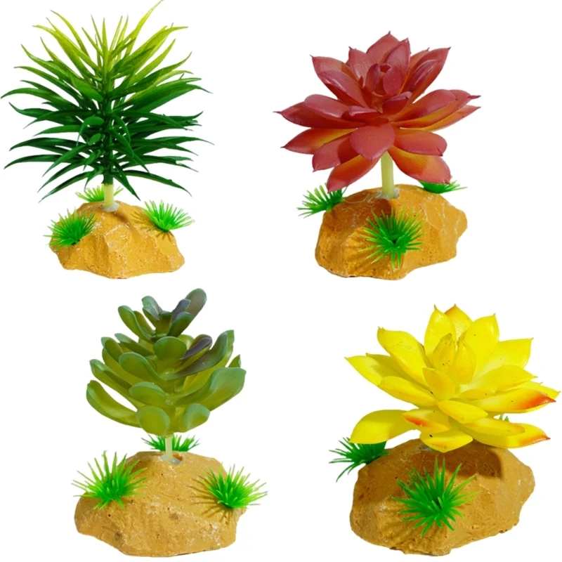 عشب نبات الزواحف للعصارة فرع ديكورات الموئل بأوراق السحالي والعناكب الأفعى ابن حزم رحمه الله مخابئ A2BB