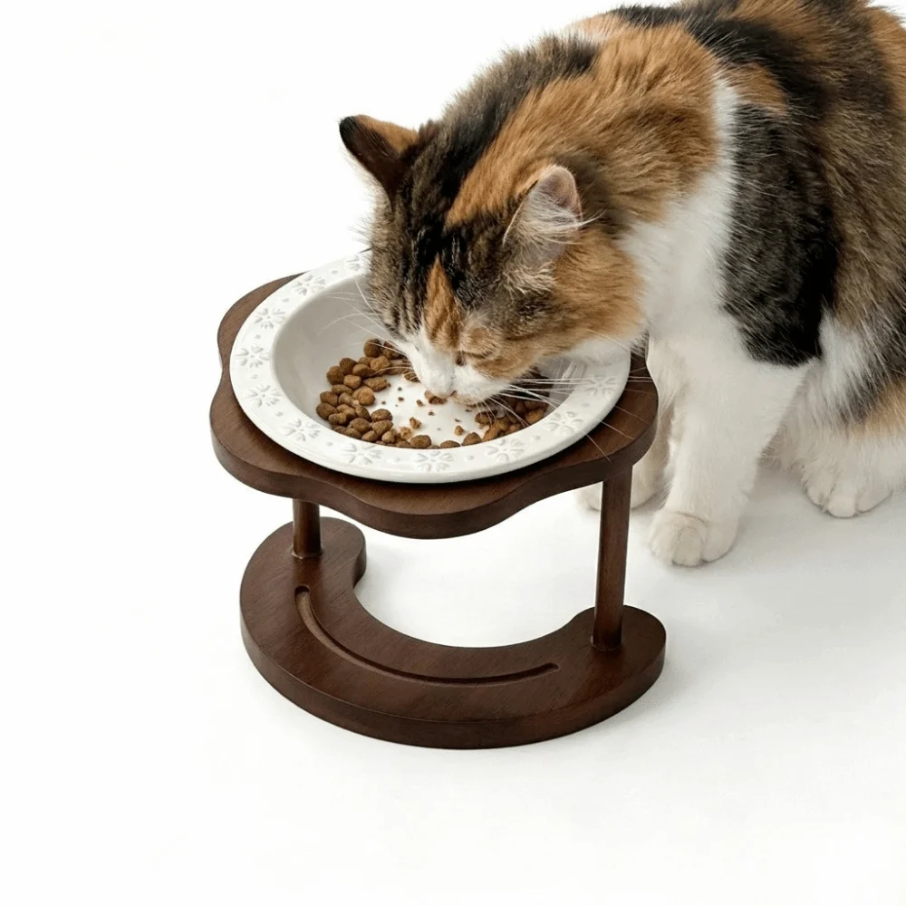 Bol en céramique surélevé pour chat, détachable, en forme de fleur, avec support en bois antidérapant, pour l'alimentation et l'eau du chat