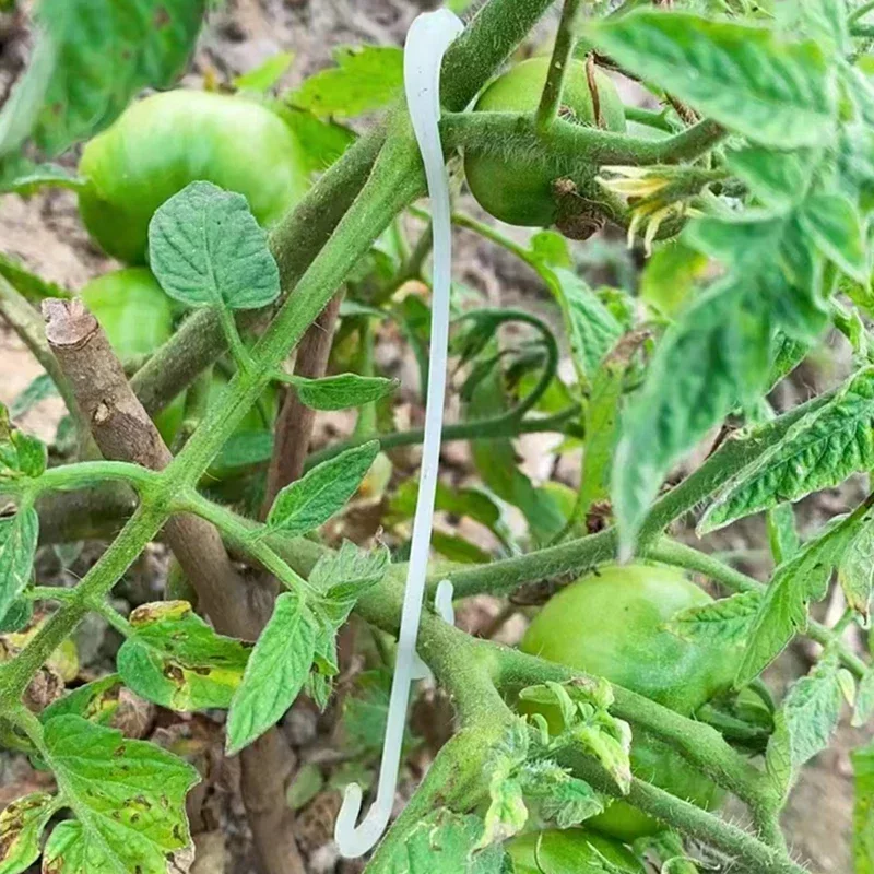 9.5/13CM Podpórka do pomidorów J Haki Podpórka do roślin Klipsy do warzyw zapobiegające pomidorach Klaster owocowy przed szczypananiem lub spadaniem