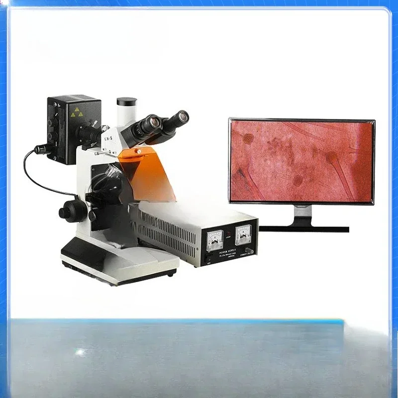 Research Upright Fluorescence Microscope ZYG1 University Laboratory Institute of Biology