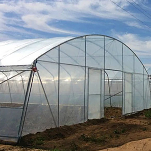 

2025High Quality Steel Structure and Long Service Life High Quality Greenhouses Agriculture Projects