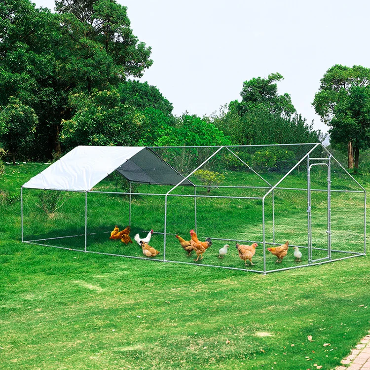 

USA In Stock 20*10ft Outdoor Wide Galvanized Metal Hen House Large Steel Chicken Run Coop for Hens