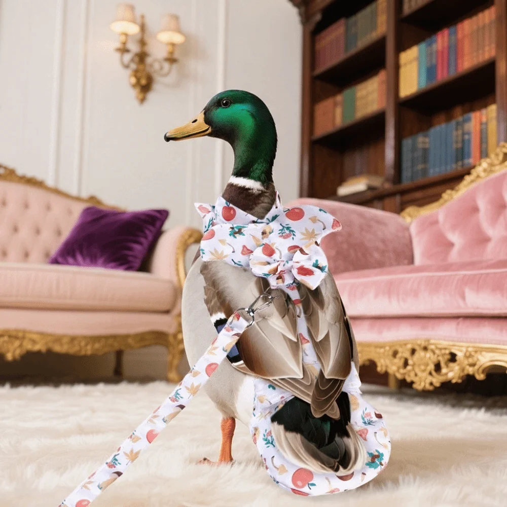 Washable Chicken Diapers Cartoon Comfortable Leads Pet Duck Vest Diaper Adjustable Reduce Odor Duckling Diaper Bags Pet Outings