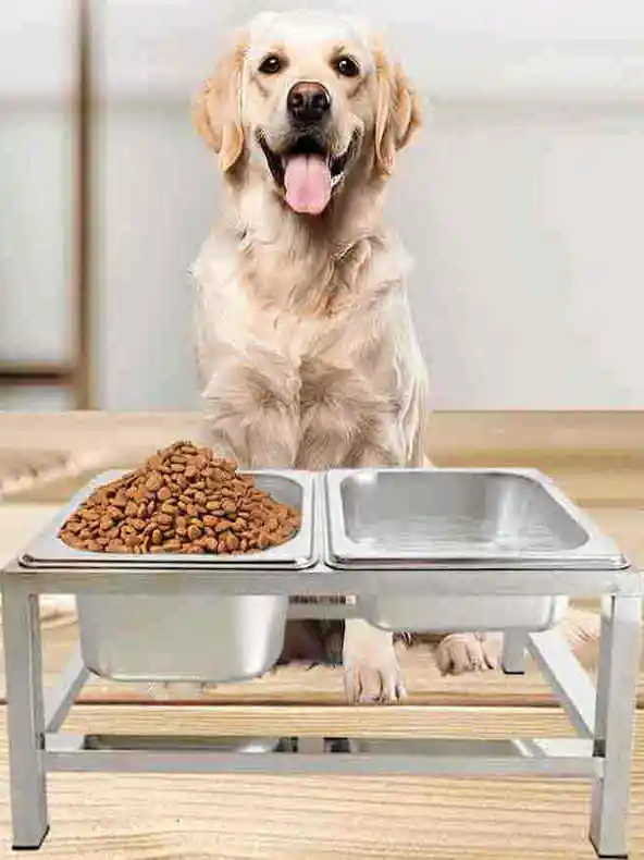 ciotola-per-cani-in-acciaio-inossidabile-anti-ribaltamento-protezione-per-il-collo-ciotola-per-l'alimentazione-di-cani-di-taglia-grande-e-media-ciotola-per-acqua-e-cibo-accessori-per-animali-domestici
