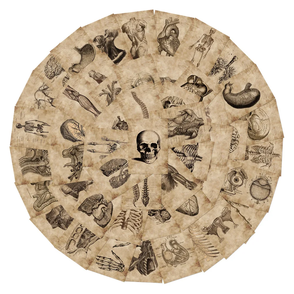 56 sztuk anatomia fizjologia ludzki szkielet Horror naklejki struktura ciała naklejki naklejki na gitarę bagaż Notebook podkładka pod laptopa