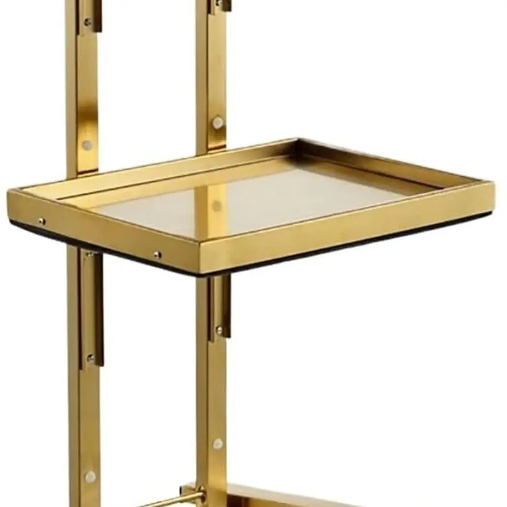 

2-Tier Folding Stainless Steel Salon Trolley with Wheels for Beauty Supplies Storage (Gold, 40x30x86cm)