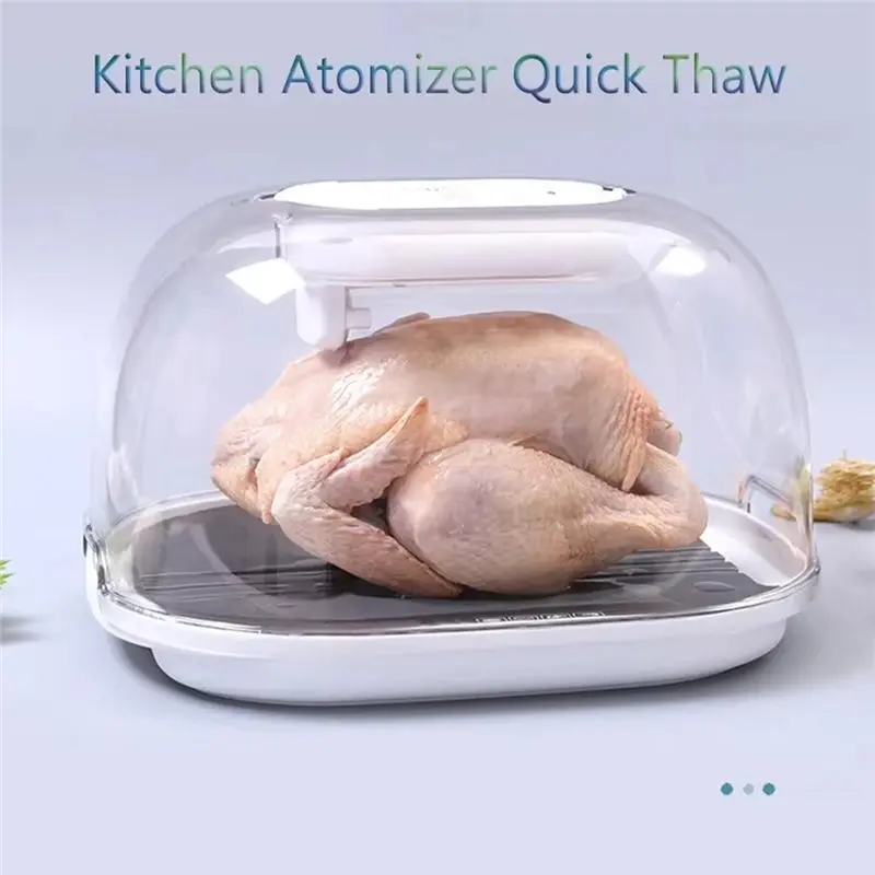【RECOMENDAR】Household Ice Melting Artifact Kitchen Quick Thaw Machine Rapid Defrosting Tray For Meat Steak Preservation