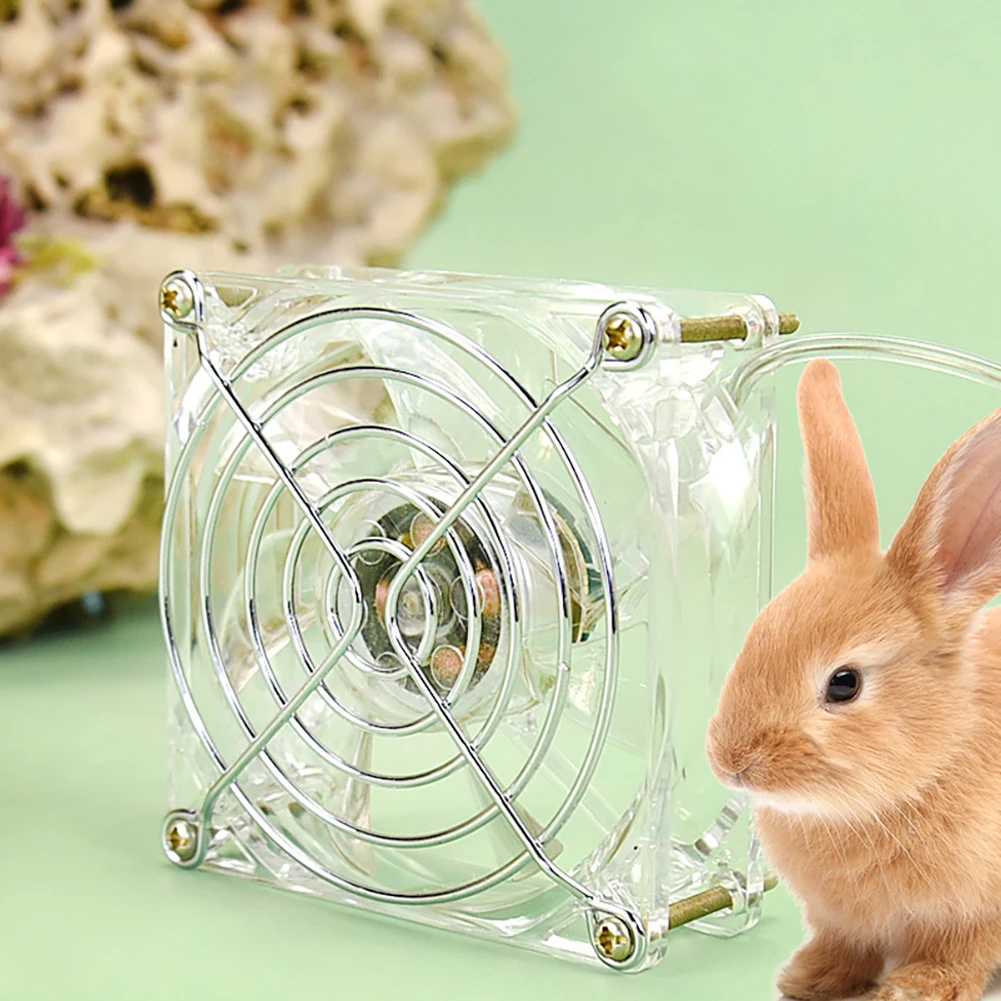 

Pet Cooling Fan Summer Acrylic USB Mini Desks Cooler Fan Portable Pet Cage Fan For Guinea Pigs Hamsters Rabbits Dogs Pet Supplie