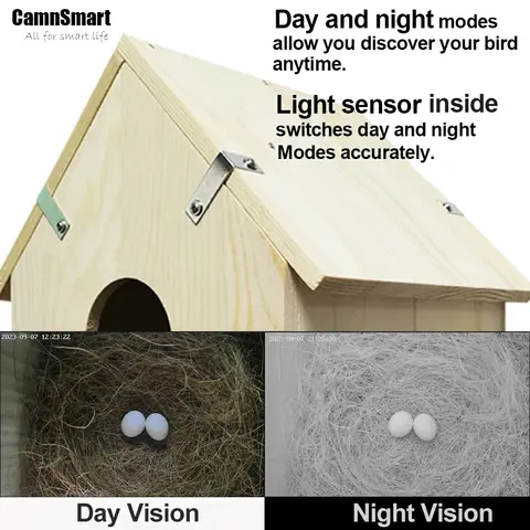 8 best sales पक्षी कैमरा - №6