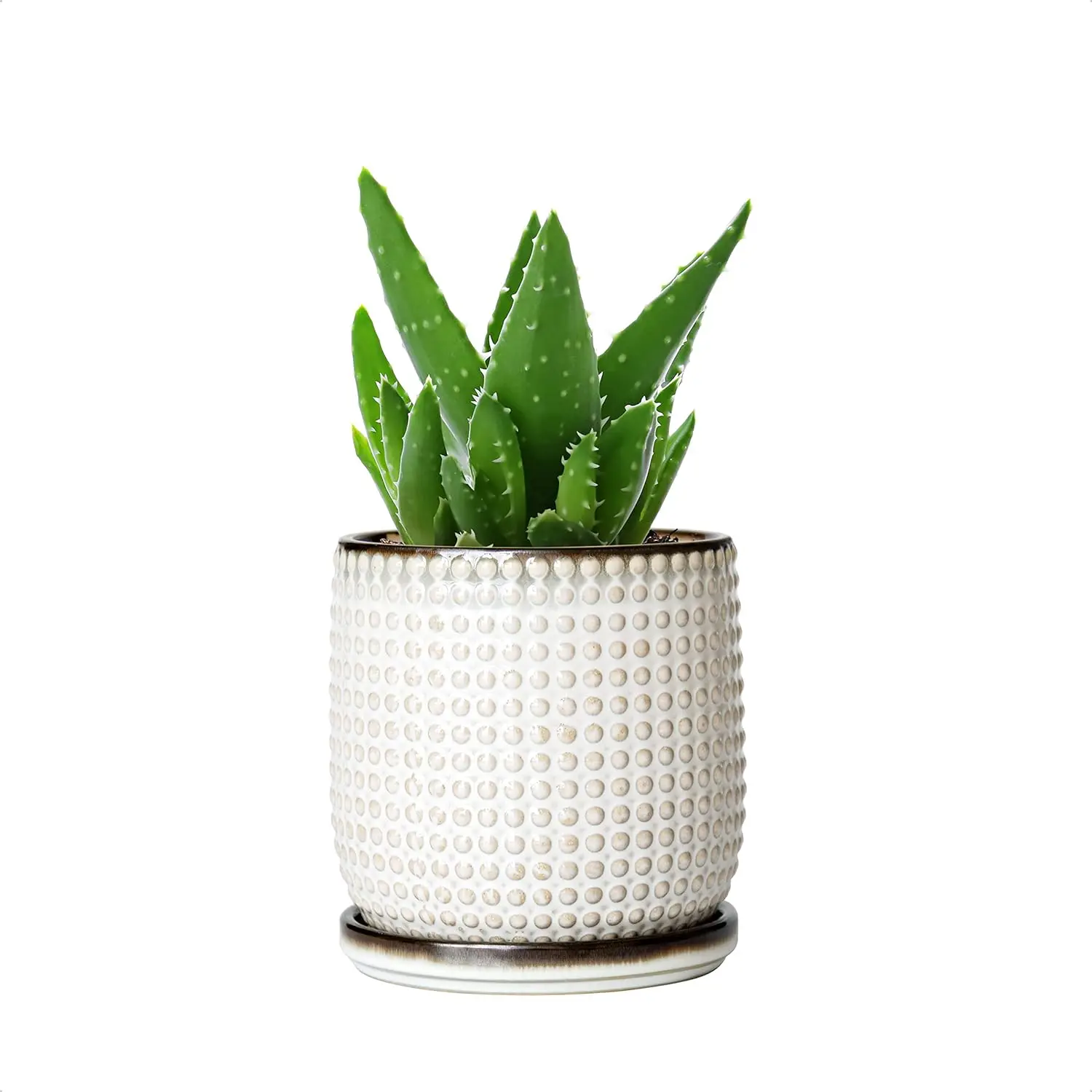 

8 Inch Ceramic Beaded Stoneware Planter Pot - Flower Pot with Drainage Holes and Saucers for Indoor Succulent Plants or Flowe