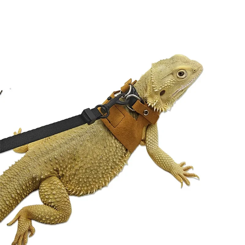 3 Pieces Set Split Lizard Leash Breathable Reptile Harness for Chameleon Squirrel Outdoor Pet Walking Accessory
